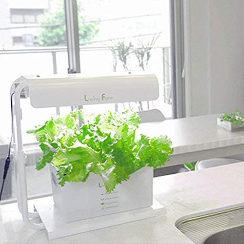 Amazon｜リビングファーム 水耕栽培キット ココベジ i 植物栽培用 白色